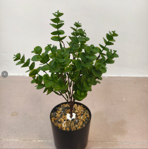 Planta verde artificial, hoja de eucalipto individual, planta de la suerte, decoración para paisajismo. - Product Image 5