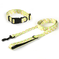 Collier et laisse pour chien personnalisés en polyester de luxe avec logo par sublimation, accessoires pour chien, laisse pour chien personnalisée, colliers et laisses pour animaux de compagnie