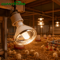 Lampe chauffante infrarouge pour bétail BR40, ampoule chauffante pour ferme, lumière rouge pour porcelets, poussins, volailles, animaux, couveuse, chauffage, E27