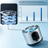 Bouilloire à eau hydrogénée 2-en-1 pour voiture, maison et extérieur, rechargeable par USB, 2000-6000ppb, 250ml