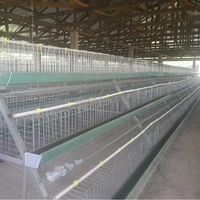 Poulailler à bas prix Cage à oiseaux poulailler pour poussins d'un jour 50 cage à poulet ferme avicole de couche du Pakistan