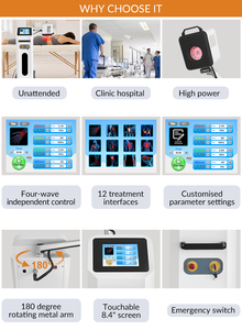 Apparecchiatura Veterinaria per Terapia Laser Freddo a Luce Infrarossa Rossa, Fotobiomodulazione per Cavalli, Fisioterapia e Terapia del Dolore - Product Image 2