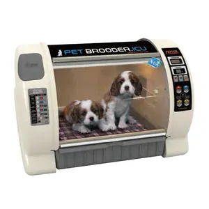 Hot Sale Tierarzt ICU Ausrüstung Tier Inkubator Haustier Brut YSVET-ICU600 mit gutem Preis