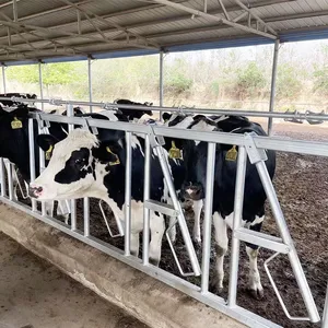 Prezzo a buon mercato di allevamento di bestiame blocco flessibile macchina per la casa della mucca caldo zincato headlock attrezzature agricole per diario Farm