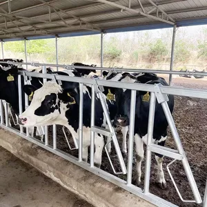 Serrure de tête de ferme de bétail à bas prix Machines de maison de vache flexibles Serrures de tête galvanisées à chaud Équipement agricole pour ferme de journal