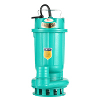 1.5kw2HP 15m 15m ³ pompe à eaux usées submersible d'irrigation et de drainage agricole avec pompage à tête haute pompe à eaux usées submersible WQ