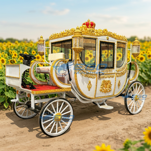 Charrette royale électrique de tourisme, chariot à chevaux d'extérieur, produits élégants de haute qualité - Product Image 1