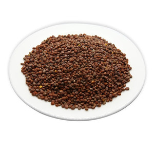Graines de raphan sativus séchées sans soufre OEM, matière première végétale pour thé bien-être, extrait et usine alimentaire - Product Image 4