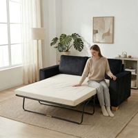 Canapé-lit pliable 2 places multifonctionnel intégré pour salon avec matelas et housse amovible lavable