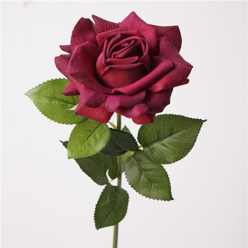 Rojo