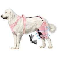 Attelle de genou pour chien personnalisée pour les pattes arrière avec charnière en métal, attelle de soutien pour chien ACL/CCL
