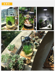 Décoration de bureau Timing Fish Tank Lamp Gradation Plante Eau Herbe Lampe <span class=keywords><strong>LED</strong></span> <span class=keywords><strong>Aquarium</strong></span> Lumière pour poissons coralliens <span class=keywords><strong>Algues</strong></span> <span class=keywords><strong>Aquarium</strong></span> - Product Image 6