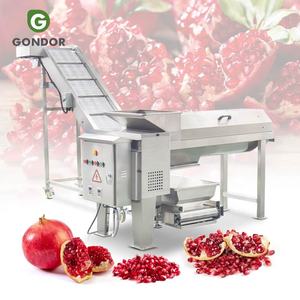 Машина для отделения мякоти и семян граната Aril Breaking Passion (сепаратор гранатовых косточек) - Product Image 1