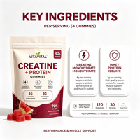 Gummies de Créatine Protéinée Marque Blanche OEM Saveur Pastèque Citron Vert Créatine Monohydrate Isolat de Protéine de Lactosérum Gestion de l'Énergie