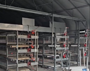 Jaulas para Pollos de Tipo H Automáticas de Múltiples Niveles, 3/4 Niveles, Capacidad para 60-80 Aves, Ahorro de Espacio, Alimentación Separada, Compactas, Fáciles de Operar - Product Image 4