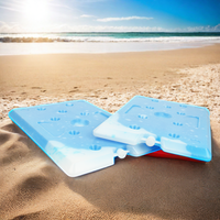 Sac isotherme réutilisable en plastique PCM (matériau à changement de phase) pour le stockage de médicaments, glacière, boîte à glace, brique de glace