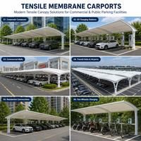 Structure de stationnement multi-étages architecturale en PVDF avec certification CE, OEM, ODM, et auvent tendu en cantilever incliné pour parkings publics