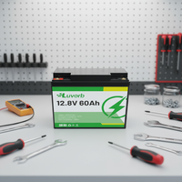 Batterie au lithium rechargeable sans entretien 12,8 V 50 Ah 60 Ah 65 Ah LiFePO4 pour systèmes d'alimentation électrique solaire
