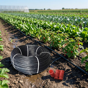 Tuyau d'irrigation en plastique noir pour serre, rouleau de tuyau d'arrosage pour serre de tomates - Product Image 1