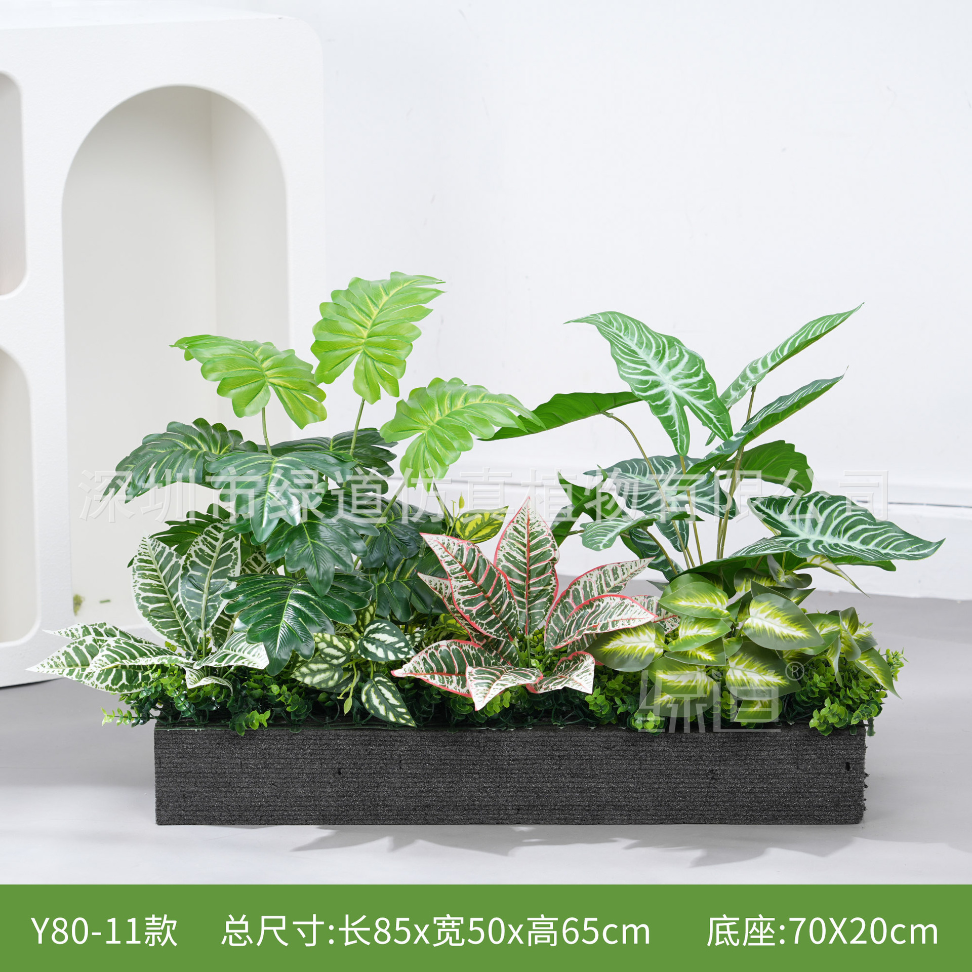 hc-Y80-11 convient aux jardinières de 80 cm