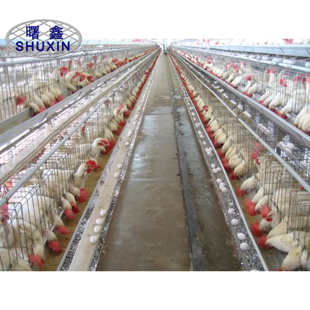 Bateria galvanizada 3 / 4 camadas aves domésticas 96 / 128 pássaros que colocam a gaiola da galinha para a venda