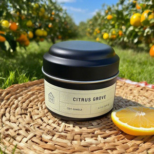 Bougie en cire de soja dans un boîtier métallique décoratif parfait, cire de soja pure <span class=keywords><strong>et</strong></span> biologique, pots de bougies aux huiles naturelles pour le salon - Product Image 2