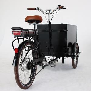 Vélo <span class=keywords><strong>Cargo</strong></span> électrique de haute qualité avec housse de <span class=keywords><strong>pluie</strong></span> - Product Image 5