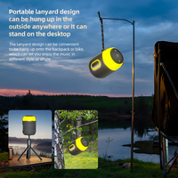 Nouveau haut-parleur de camping en plein air en gros Subwoofer Active RGB Led Light Blue Tooth haut-parleurs sans fil Super Bass