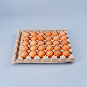 Engh-Tabla <span class=keywords><strong>de</strong></span> ardboard egradable, 30 Cells - Product Image 1