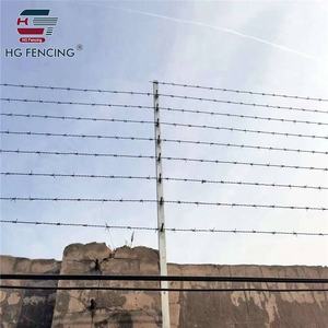 Pabrik langsung murah dilapisi PVC galvanis celup kawat baja tahan karat berduri - Product Image 6