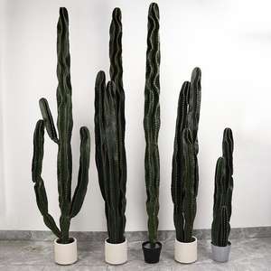 Plante artificielle <span class=keywords><strong>Cactus</strong></span> personnalisé, <span class=keywords><strong>Cactus</strong></span> <span class=keywords><strong>pas</strong></span> <span class=keywords><strong>cher</strong></span>, Fleurs et plantes artificielles réalistes, Petit bonsaï floral de Chine, <span class=keywords><strong>Cactus</strong></span> artificiel - Product Image 5