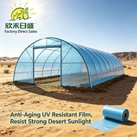 Film de serre professionnel durable de 200 microns pour marchés agricoles, grande bâche en plastique pour systèmes hydroponiques commerciaux