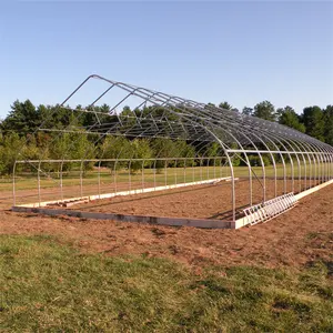 Agricultural Polythene Film Covering Vegetable Micro Greens tomatoes flowers Hoop Style Used Greenhouse