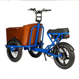 <span class=keywords><strong>Triporteur</strong></span> à trois roues Tricycle e-bike gros pneu famille enfant siège Lastenrad Cargo Trike boîte avant - Product Image 1