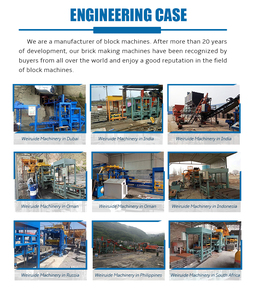 Máquina para Fabricar Ladrillos de Ceniza Volante de Alta Productividad para Uso Doméstico, Venta Directa de Fábrica - Product Image 3