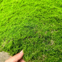 Panneaux muraux décoratifs en mousse stabilisée verte pour la maison, feuilles de simulation de haute qualité, aspect réaliste, longue durée, pour Noël, vente en gros