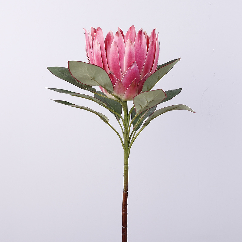 3D Single Emperor Protea [Dark Pink]