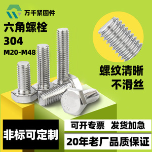 Wanqian Fasteners 304 Stainless Steel Hex Bolts M20 M48 Full Thread DIN933 Class 10.9 12.9 Standard Use - Product Image 4