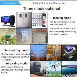 Tuya thông minh 4G LTE tiếp sức với RF 433Mhz thông minh GSM chuyển đổi ứng dụng điều khiển không dây làm việc với Alexa Alice Google trợ lý - Product Image 4