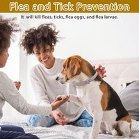 Collier anti-puces et anti-tiques pour animaux de compagnie, en caoutchouc imperméable, solide, simple, protection haute efficacité pendant 8 mois