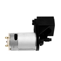 Pompa Booster Otomotif Mini Bertekanan Tinggi Listrik 12V/24V yang Dapat Disesuaikan OEM, Piston Cair 1