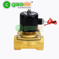 Vanne solénoïde miniature Gaia pneumatique à 2 voies air/eau en laiton à action directe normalement ouverte 12V 110V 24V 220V 2W025-08