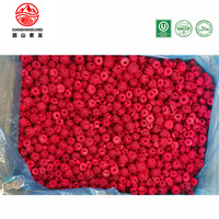 Diepvries Frambozen Groothandel IQF Diepvries Frambozen Hele Natuurlijke Zoete Diepvriesvruchten Uit China
