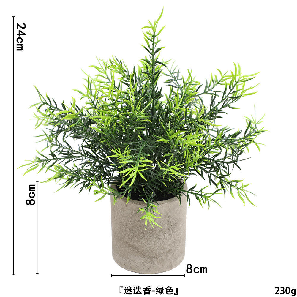 โรสแมรี่ไม่มี ahe372-068ผง