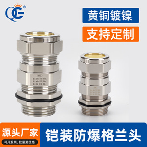 Copper Plated Nickel <b>Cable</b> Gland Pg20 Ip68 Waterproof Marine Grade Armor Sealed Connector For Low Voltage Applications - Product Image 3