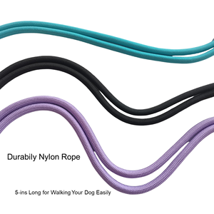 Laisse Rétractable Robuste en Nylon et Polyester pour Animaux de Compagnie, Style Tendance pour la Promenade et l'Entraînement des Chiens, Durable - Product Image 3