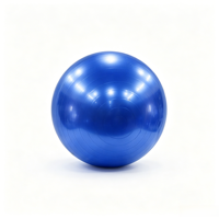 Ballon de yoga professionnel en PVC écologique, souple, anti-éclatement, durable, pour massage et relaxation musculaire du dos, personnalisable