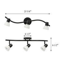 US livraison gratuite 2025 salon intérieur mural noir fer boutique Led piste lumière 3 lampes Spot lumière piste éclairage plafond