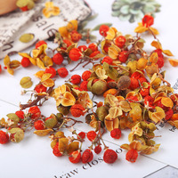 Fleurs d'Albizia Julibrissin en gros, livraison gratuite, approvisionnement direct, nouveaux produits, séchées au soleil, 500g en vrac, herbes pour tisane