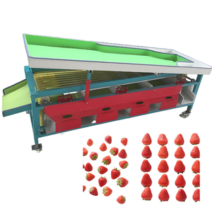 Nouvelle conception, machine de tri des pommes et des tomates à haute efficacité, personnalisée, de haute qualité - Product Image 1